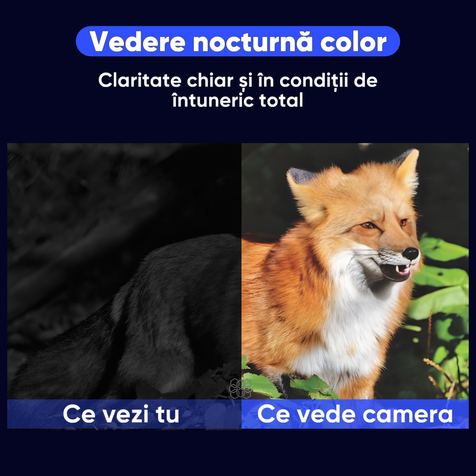 Camera de supraveghere video PTZ, Panou solar si cartela SIM, HexaEye