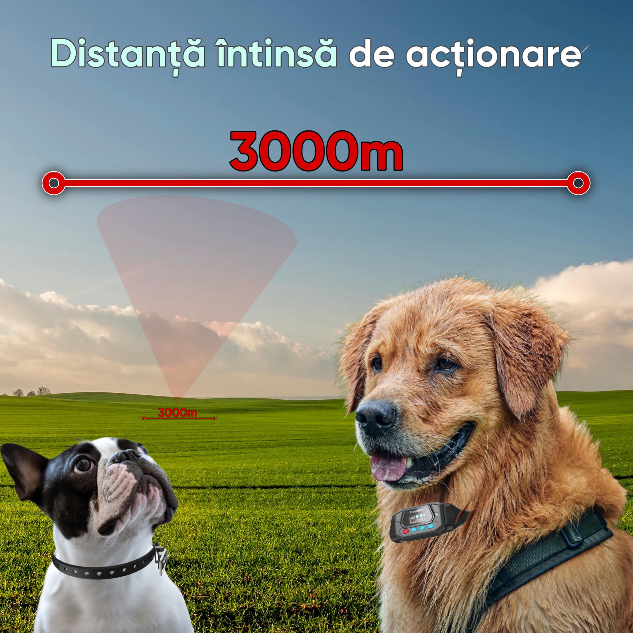 Gard DRESAJ invizibil fara fir, 3000m, pentru toate tipurile de catei, GPS, HexaCraft