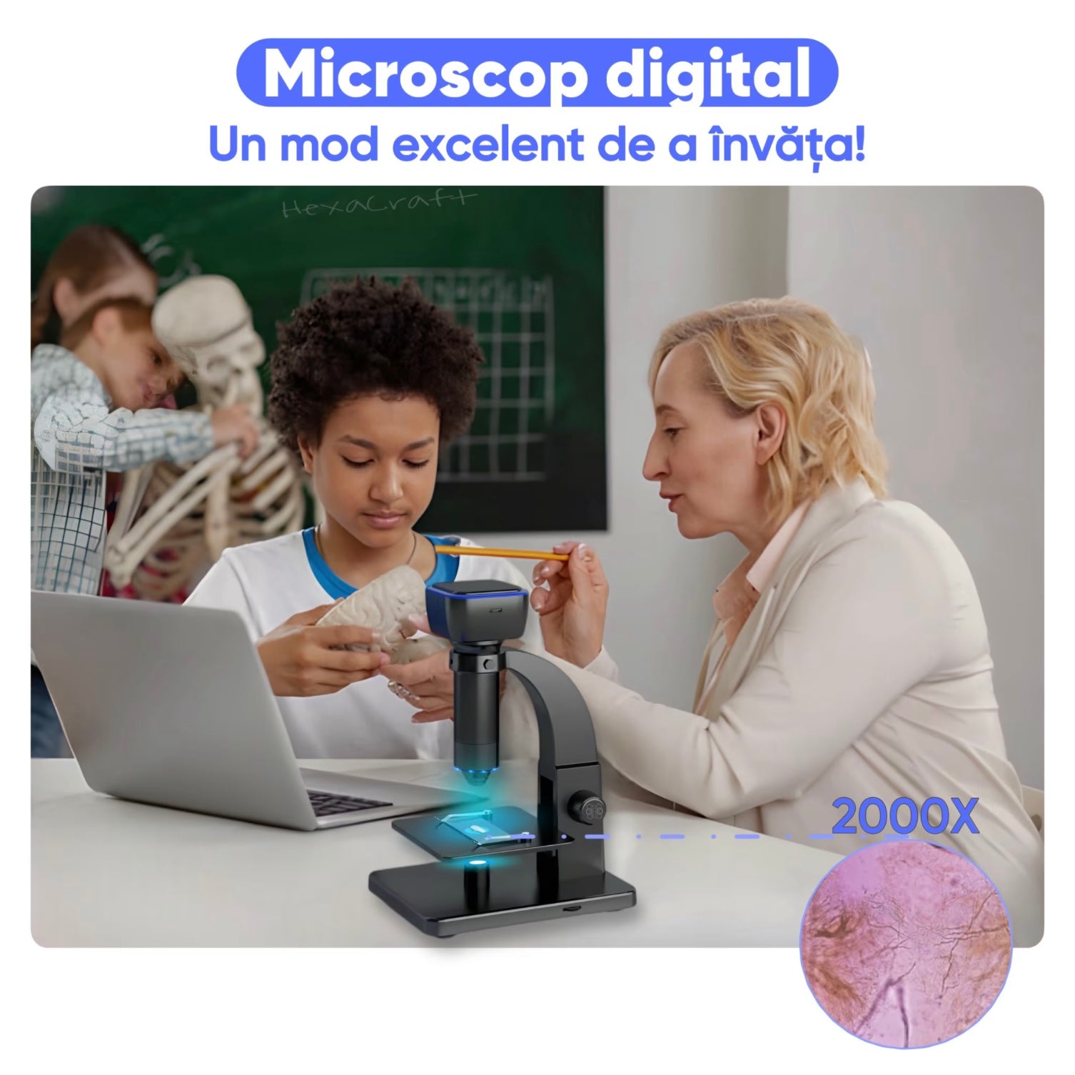 Microscop HEX001-MCB 23, Original Hexacraft, Microbiologic, 2000X