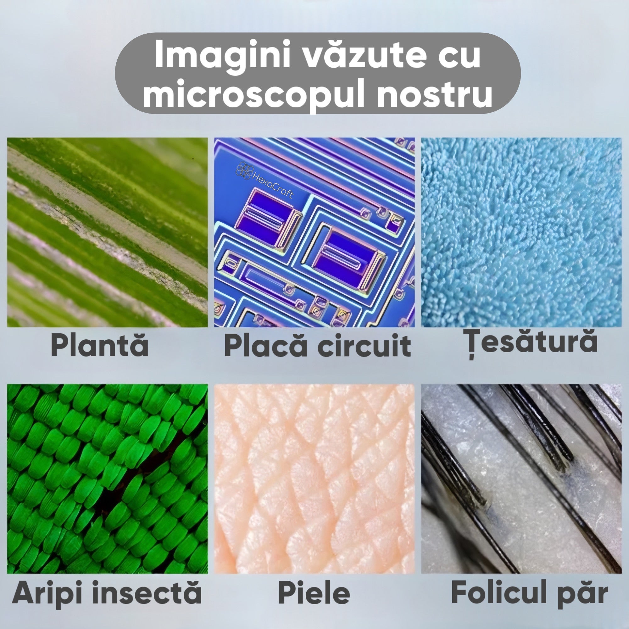 Microscop Digital 1600X cu lumina LED si 2 adaptoare, HexaEye
